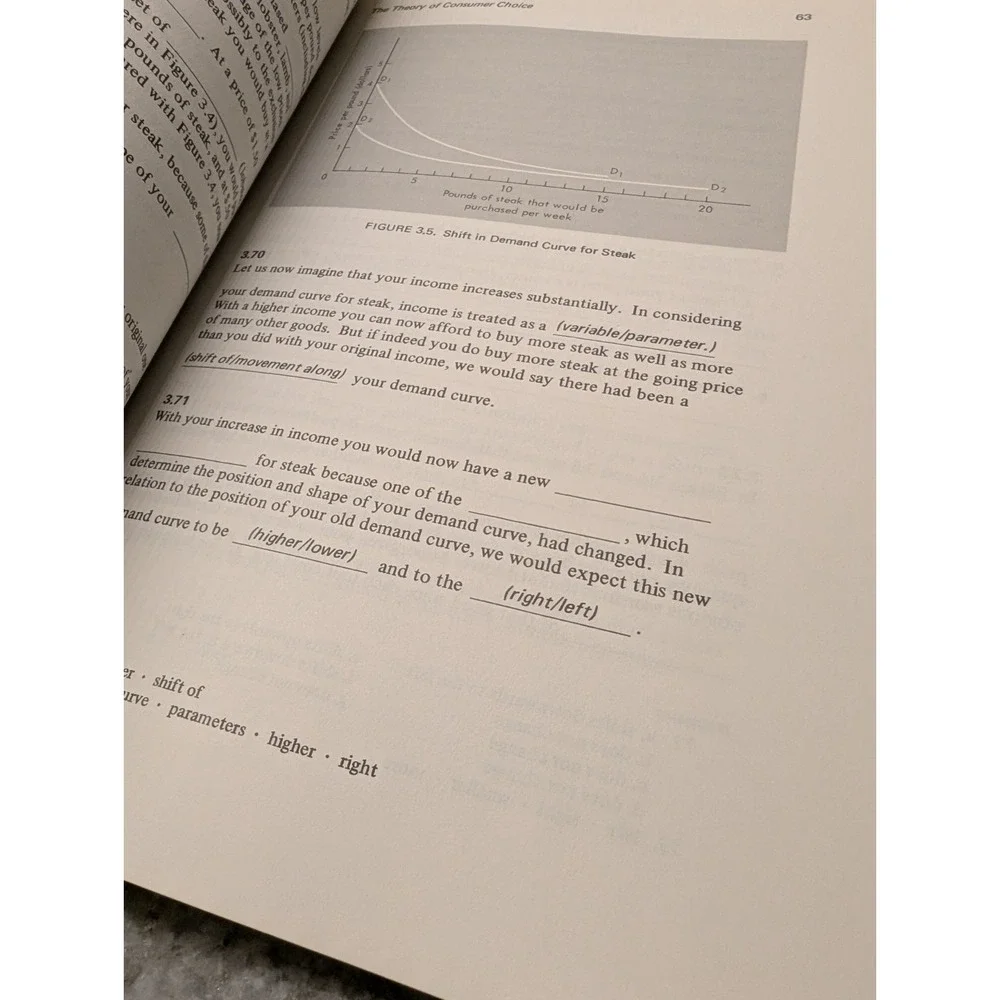 MACROECONOMICS:‎ A PROGRAMMED BOOK Prentice Hall 2nd Edition